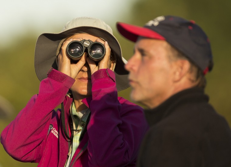 Hawk counter has a sharp eye out for raptors