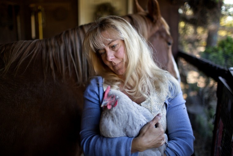 Suffolk woman writes the book on raising chickens ...