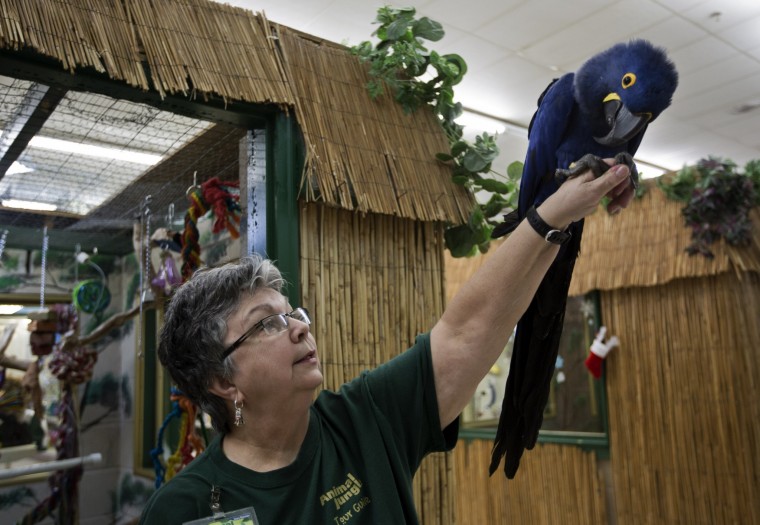 va beach pet store calling it quits after 39 years va beach pet store calling it quits after 39 years