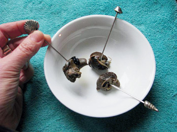 canned snails