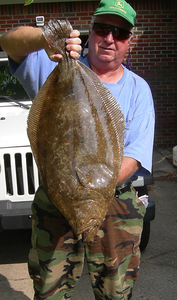 Sample essay about ocean pollution image 5