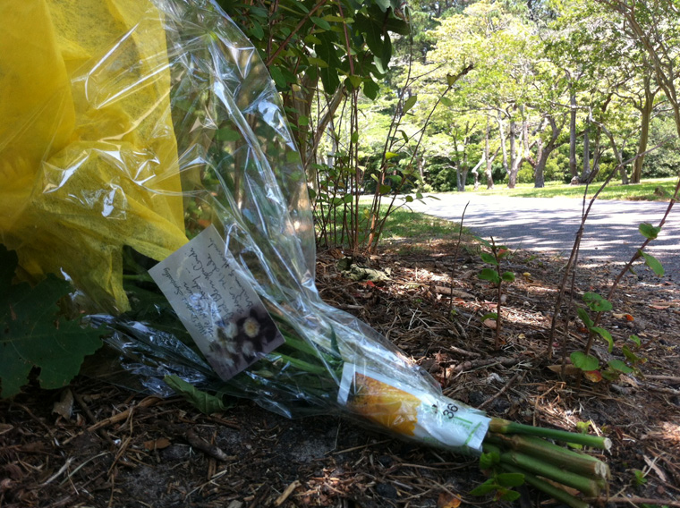 Andy Griffith dies in Dare County at 86