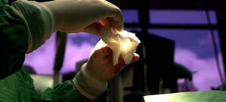 plasticsurgery450.jpg